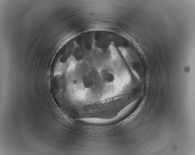 X0000097871121200804110917