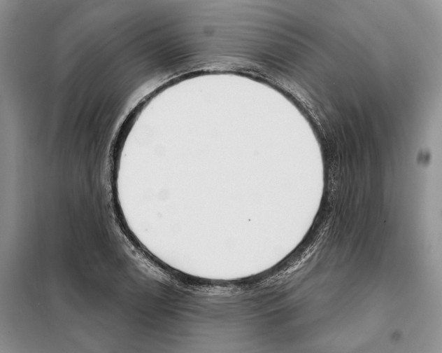 X0000097871122200804110917