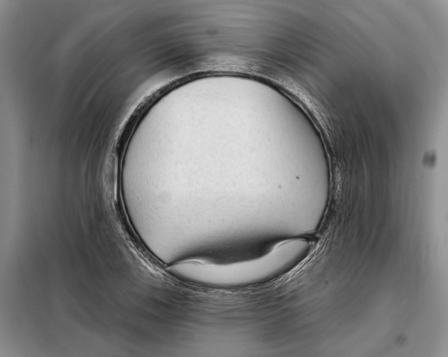X0000097871123200804110917
