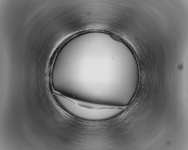 X0000097871124200804110917
