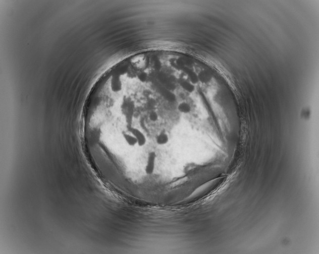 X0000097871125200804110917