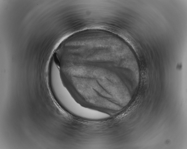 X0000097871127200804110917