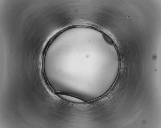 X0000097871128200804110917