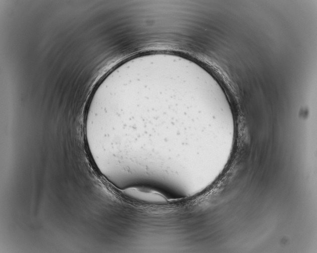 X0000097871129200804110917