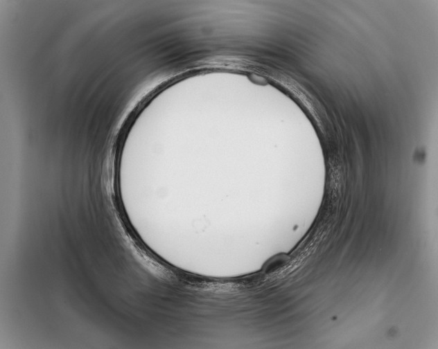 X0000097871131200804110917