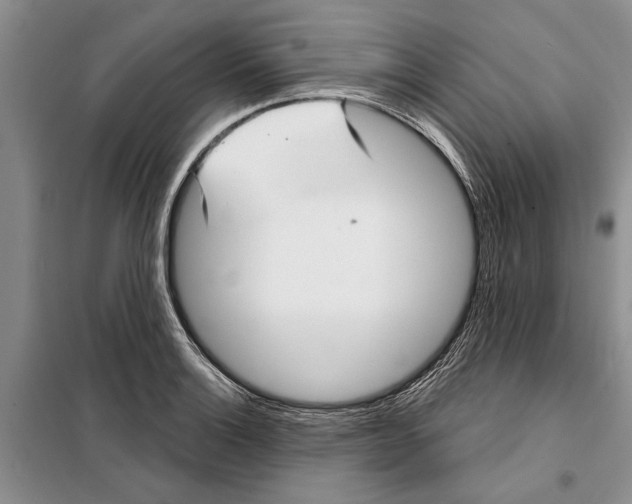 X0000097871132200804110917