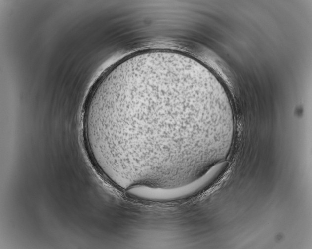 X0000097871133200804110917