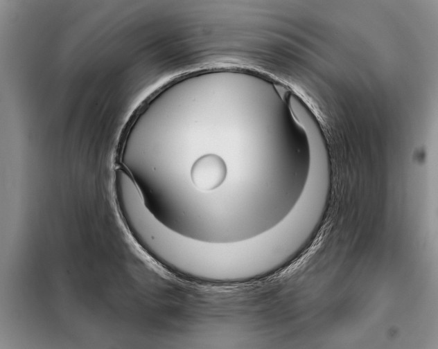 X0000097871134200804110917