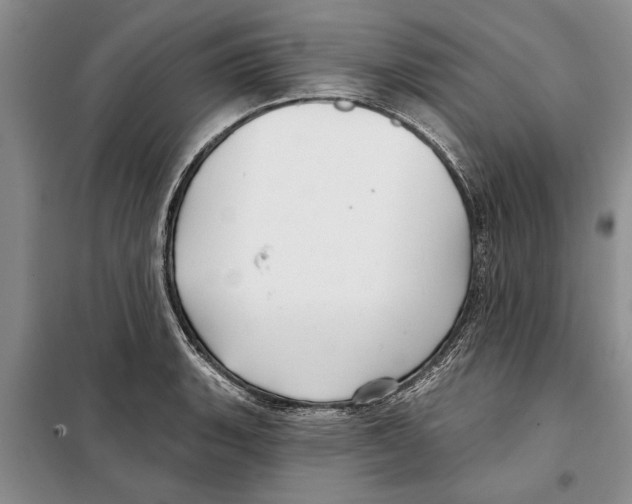 X0000097871135200804110917