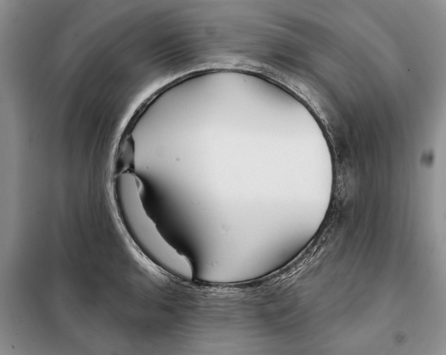 X0000097871136200804110917