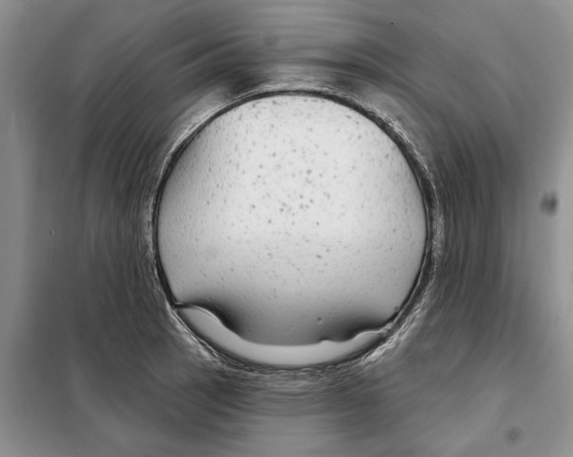 X0000097871137200804110917