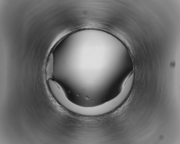 X0000097871138200804110917