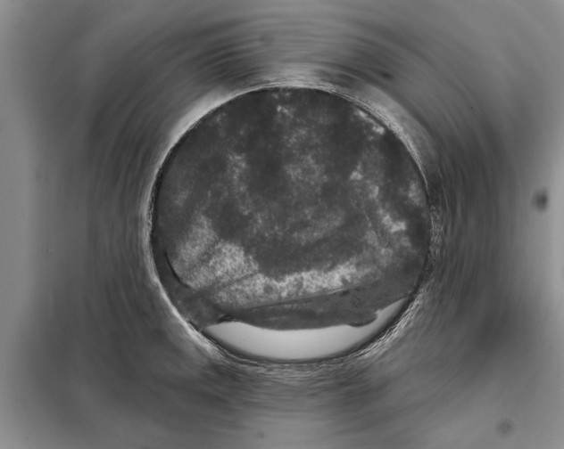 X0000097871141200804110917