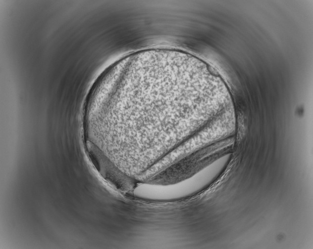 X0000097871142200804110917