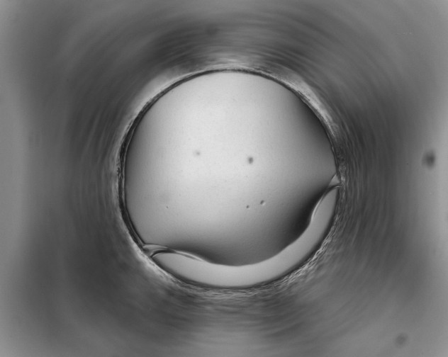 X0000097871143200804110917