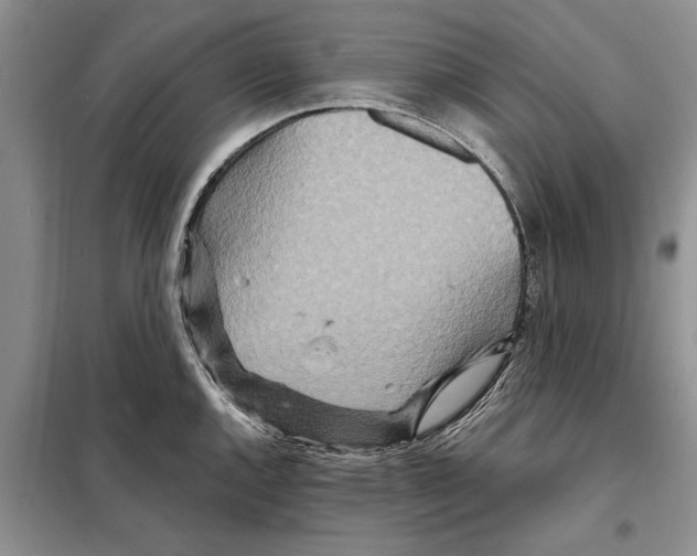 X0000097871144200804110917