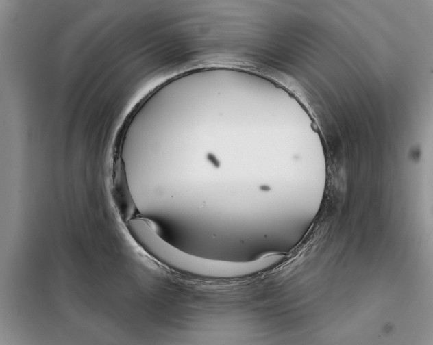 X0000097871147200804110917