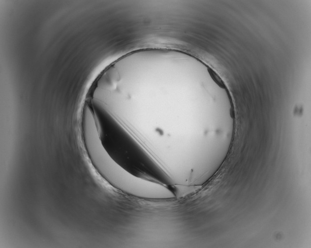 X0000097871152200804110917