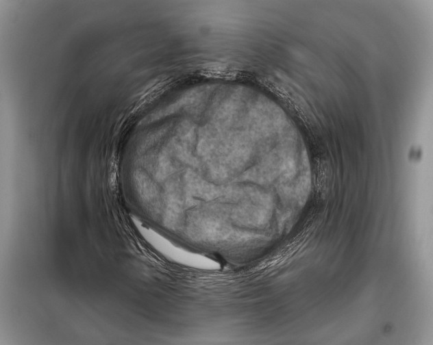 X0000097871154200804110917