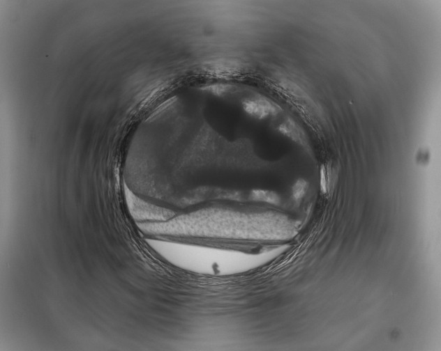 X0000097871155200804110917