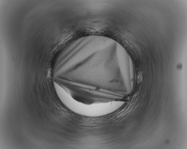 X0000097871156200804110917