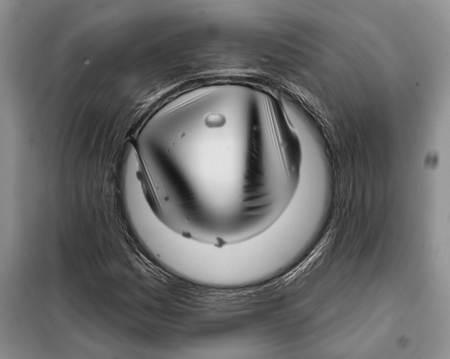 X0000097871161200804110916