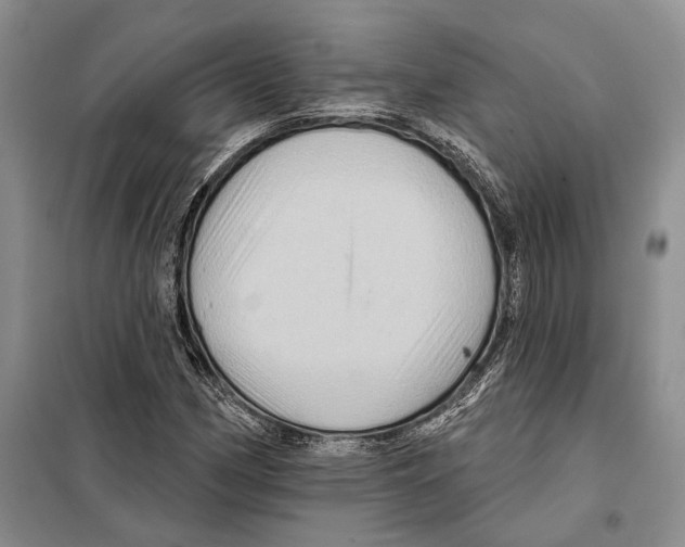 X0000097871162200804110916