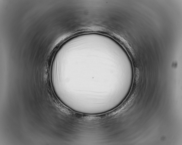X0000097871163200804110916