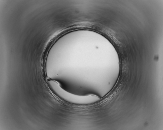 X0000097871164200804110916