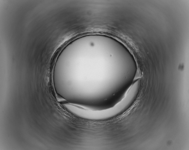 X0000097871165200804110916
