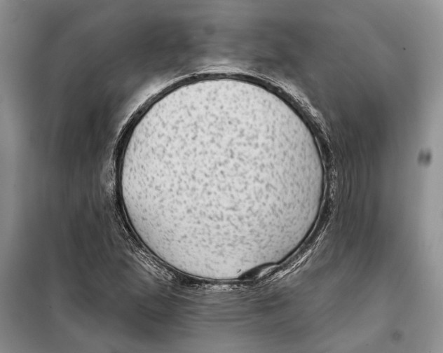 X0000097871167200804110916