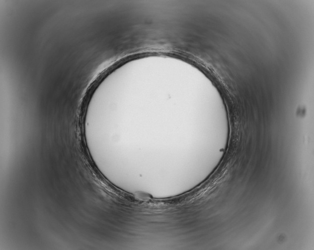 X0000097871168200804110916