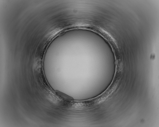 X0000097871169200804110916