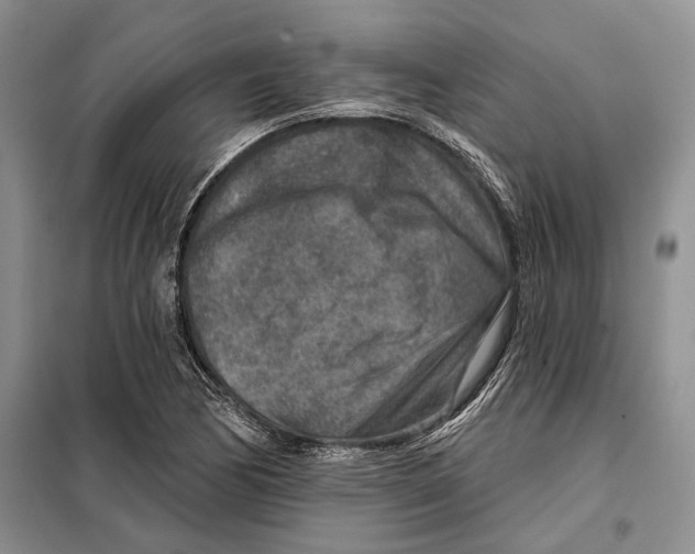 X0000097871170200804110916