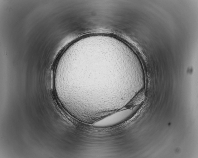 X0000097871171200804110916