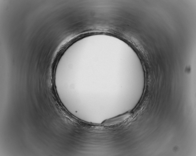 X0000097871172200804110916