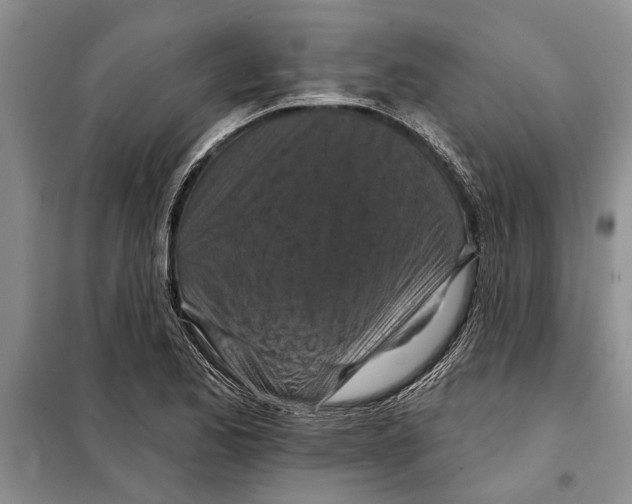 X0000097871173200804110916