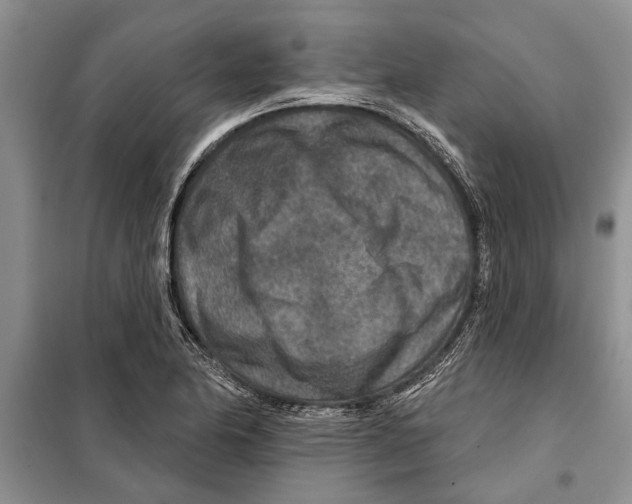 X0000097871174200804110916