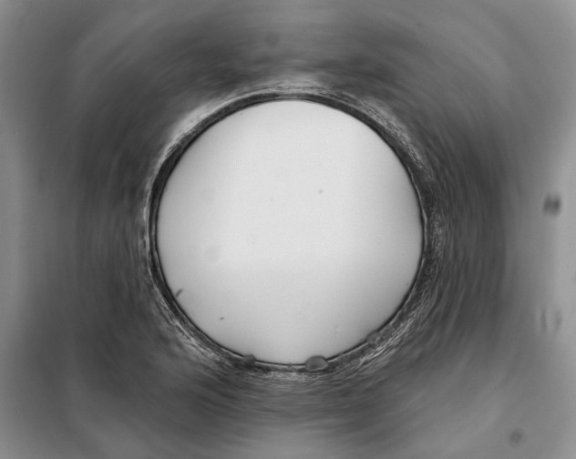 X0000097871176200804110916
