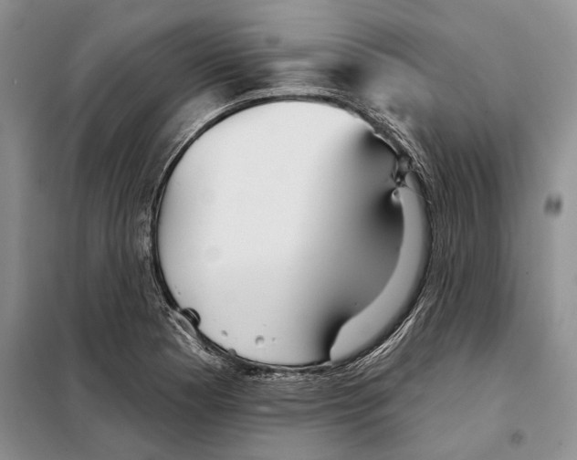 X0000097871177200804110916