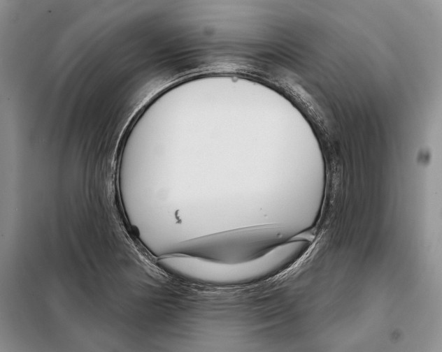 X0000097871178200804110916