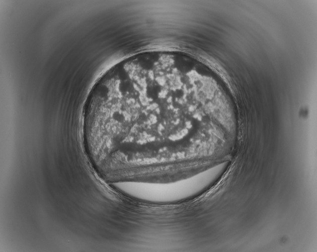 X0000097871179200804110916