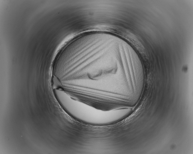 X0000097871180200804110916
