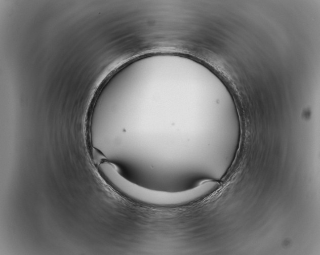 X0000097871181200804110916