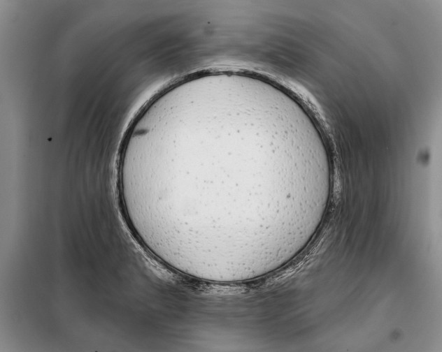X0000097871183200804110916