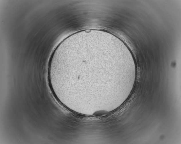 X0000097871187200804110916