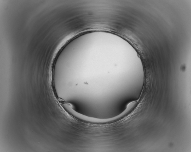 X0000097871188200804110916