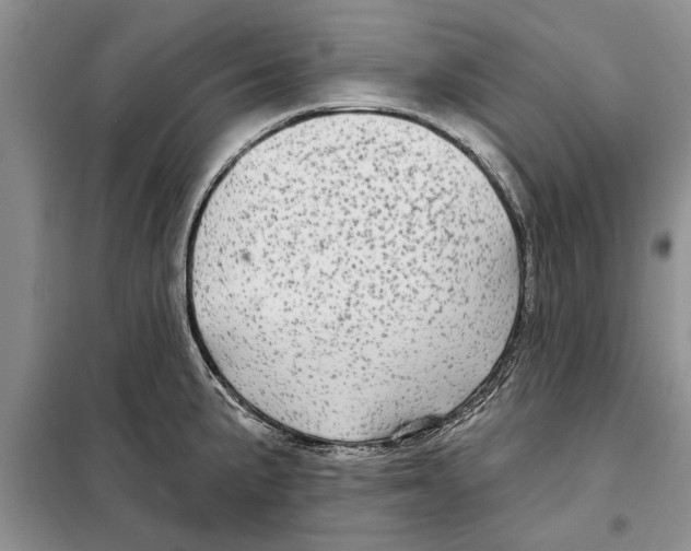 X0000097871191200804110916