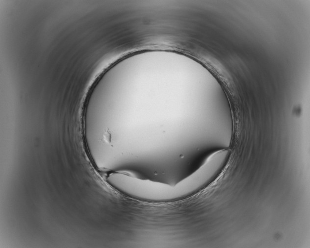 X0000097871192200804110916