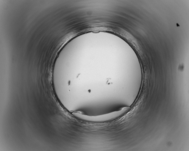 X0000097871193200804110916